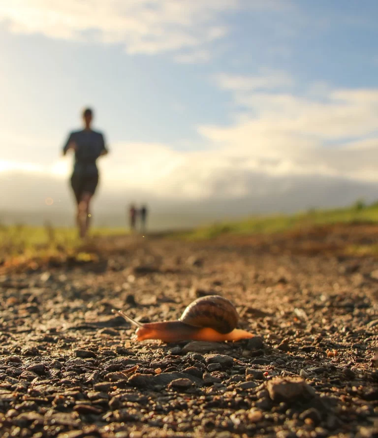 Start Running at 50! It’s not so late as you think!