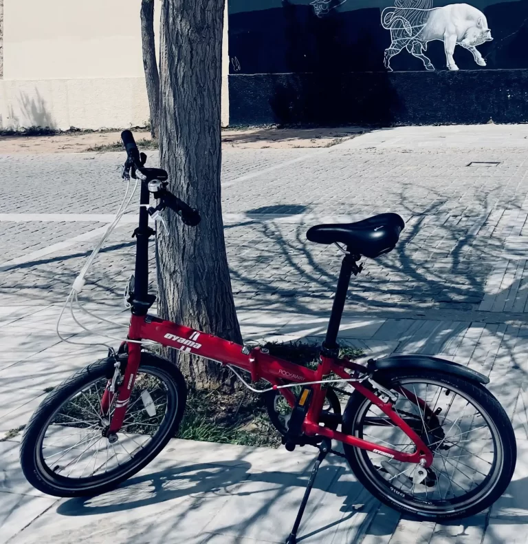 The Truth Behind Common Cycling Misconceptions