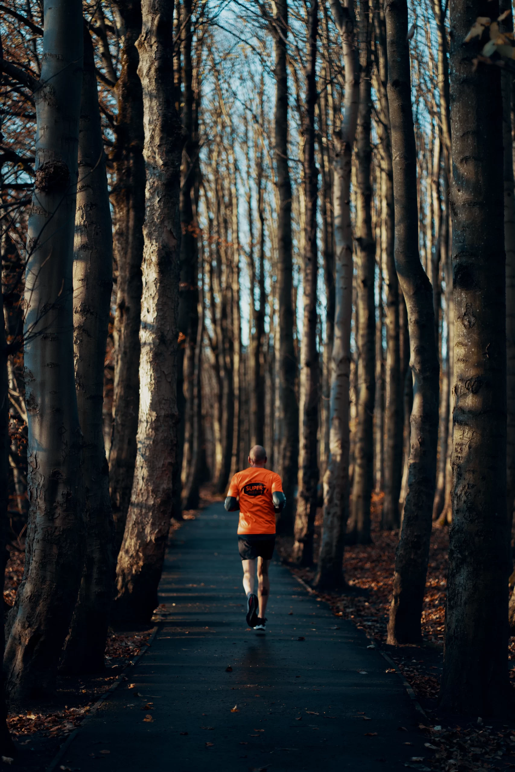 Runner in forest