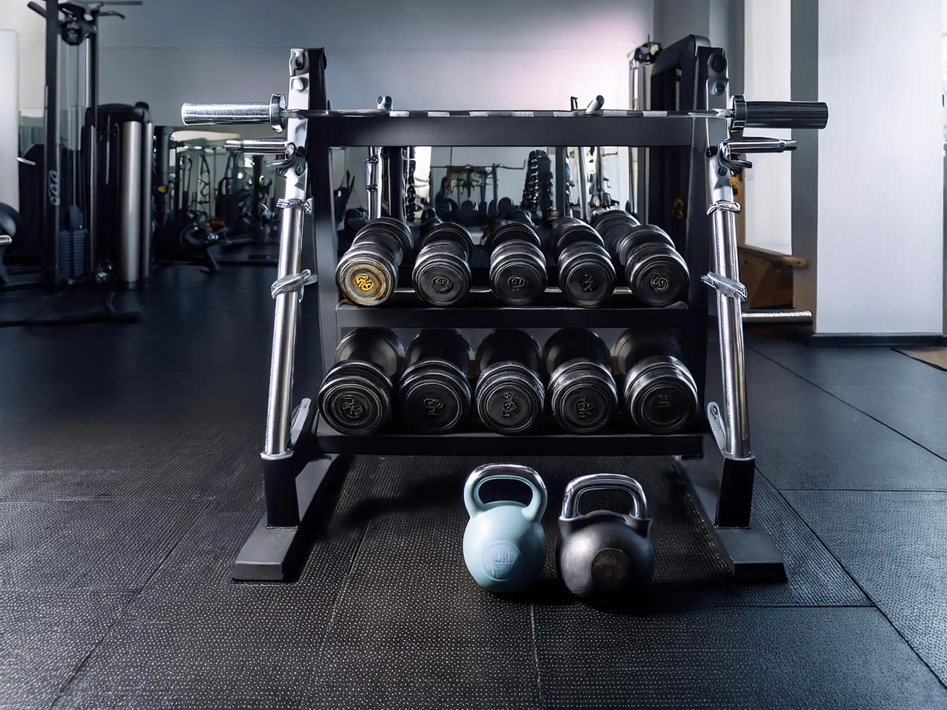 Strength Training for Women: Dispelling the Myths