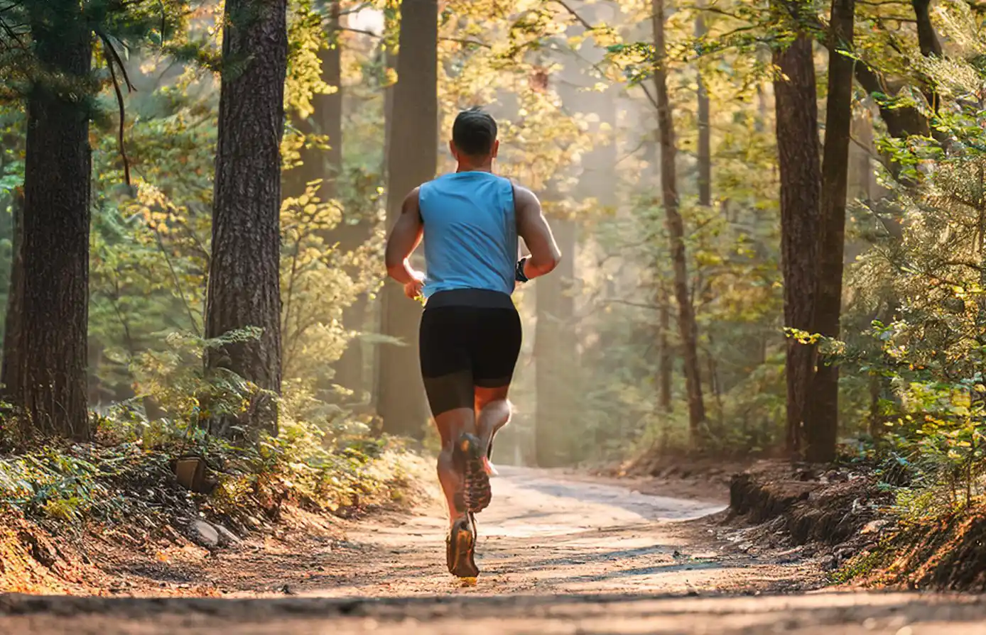 What is The Taper Phase?