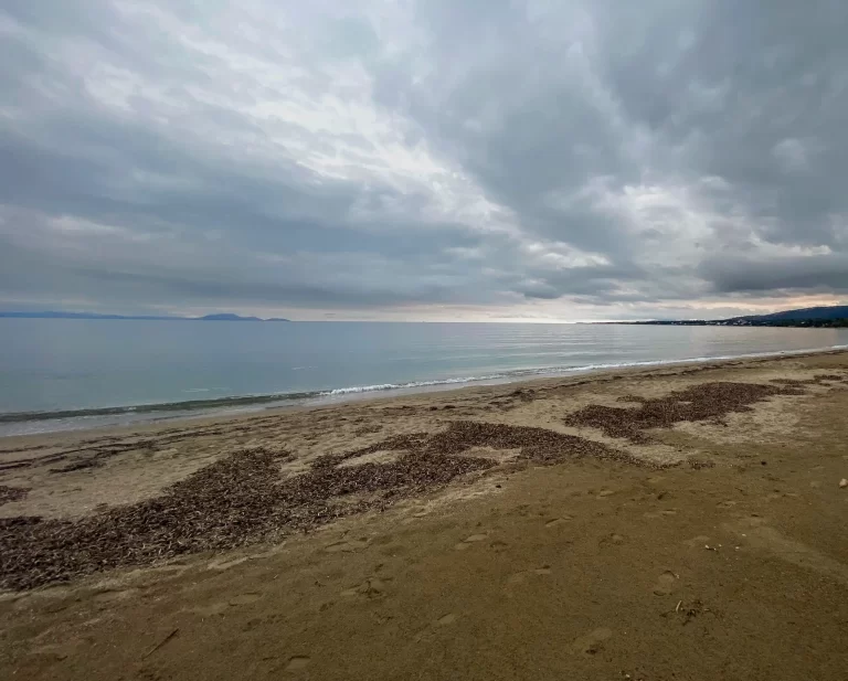 cold water swimming