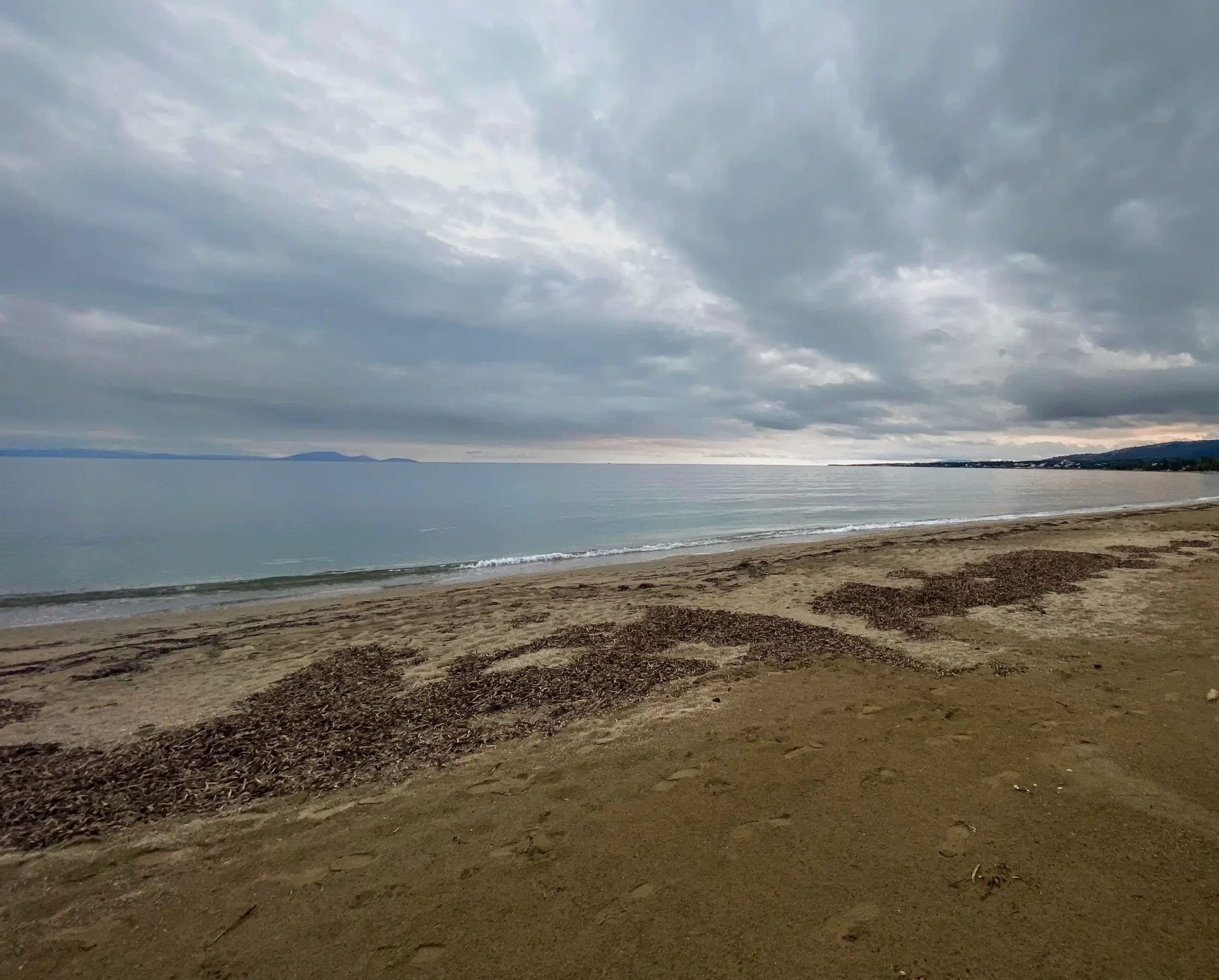 Cold Water Swimming: A Beginner’s Guide to Cold Exposure